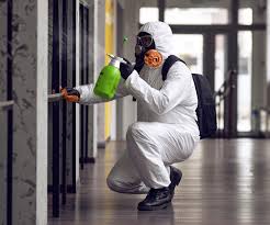 Best Residential Mold Inspection & Testing  in Cheswold, DE